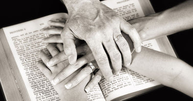 Insight and wisdom (Part 2)